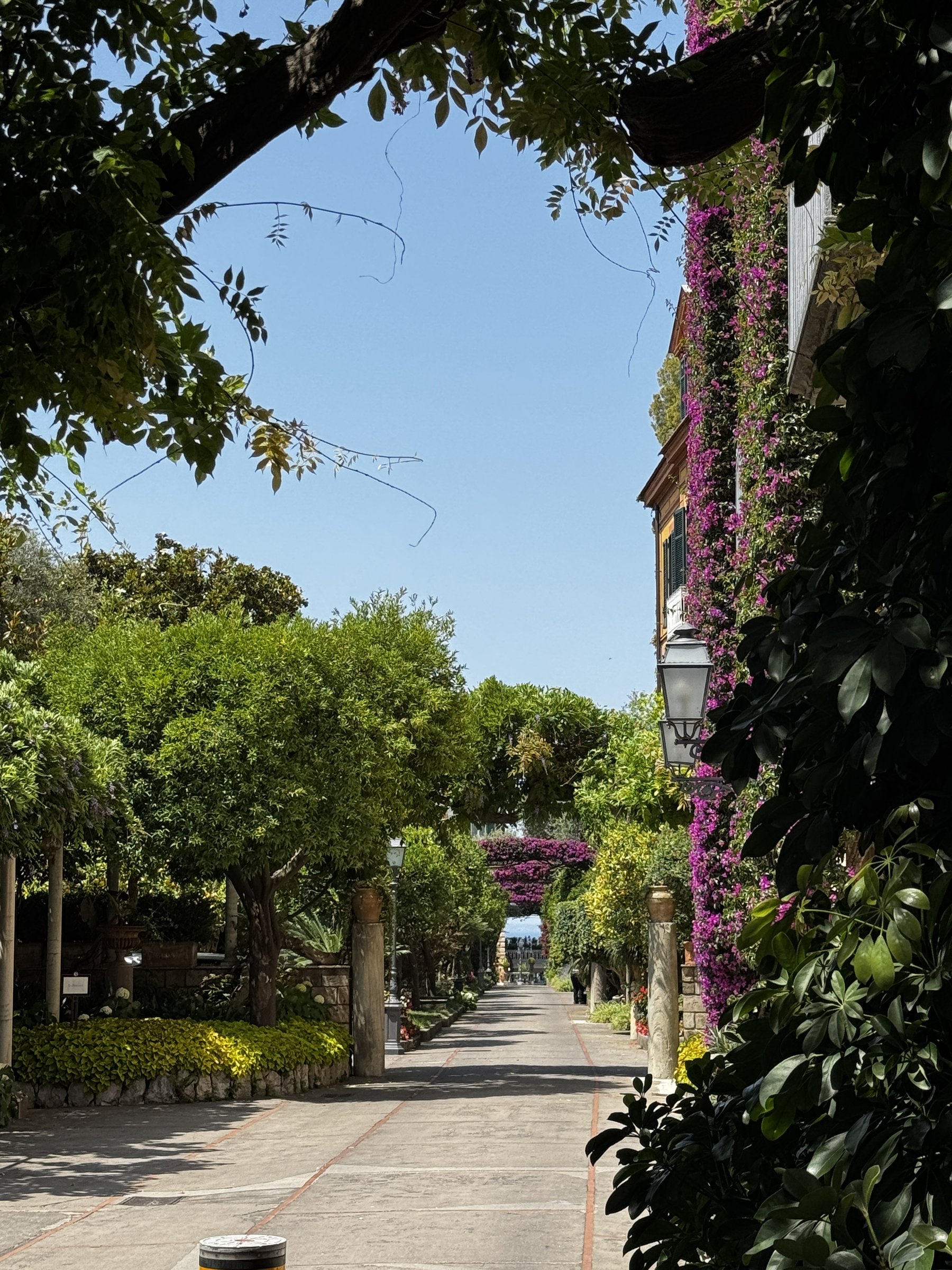 A garden pathway lined with columns, greenery, and bougainvillea in full bloom, from one of Kelly's travels.