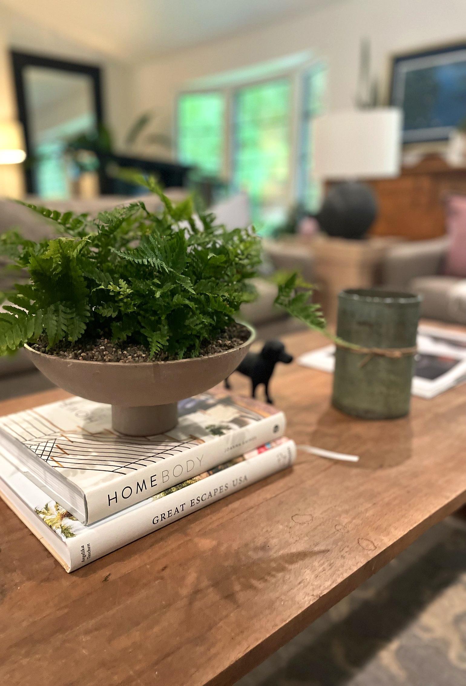 Coffee table detail with a fern, stacked design books, and a small dog figurine.