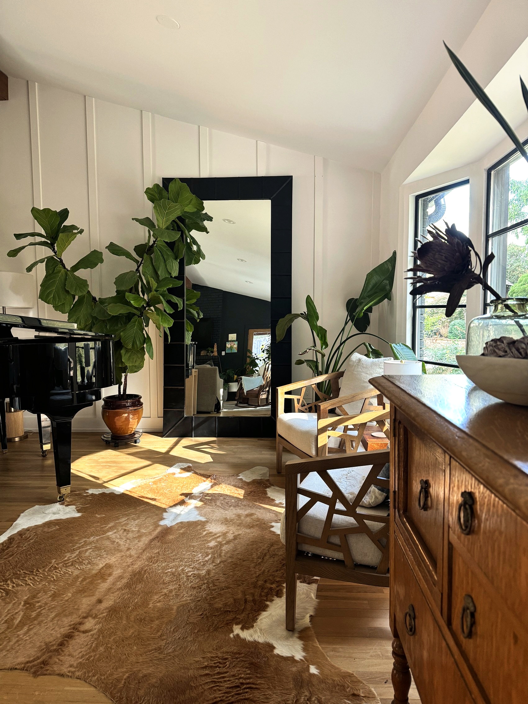 Sitting room with a grand piano, fiddle-leaf fig, and cowhide rug.