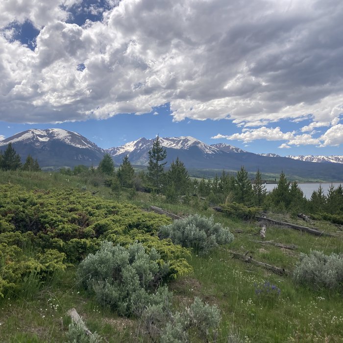 Snow-capped mountains and a lake beyond a hillside of pines and sagebrush.