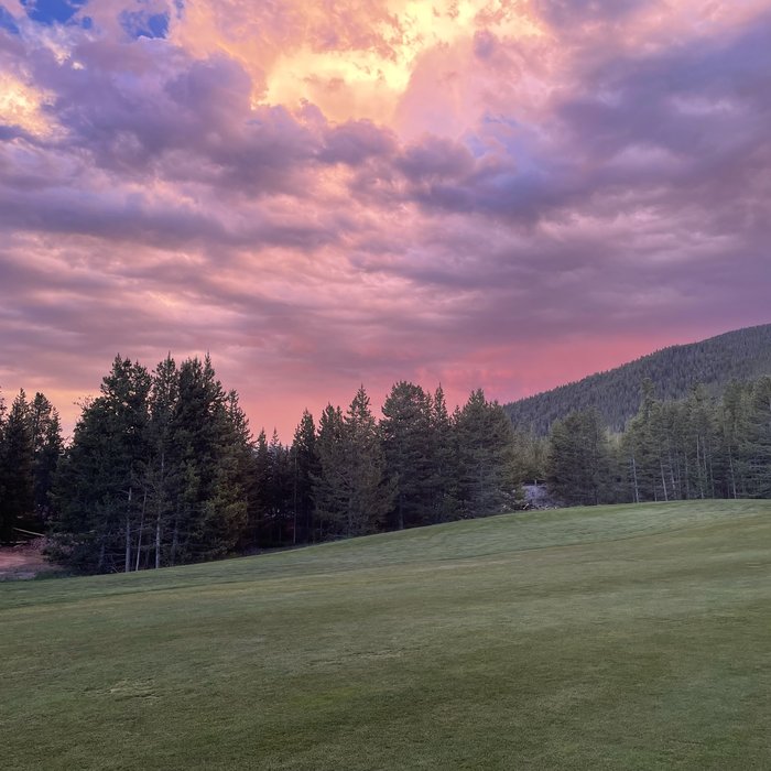A pink and purple sunset over a pine forest and open lawn.
