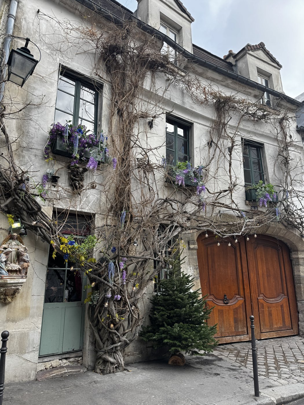 A vine-covered Parisian building facade with wisteria window boxes and wooden doors.